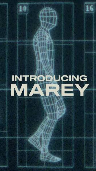 INTRODUCING MAREY BY MOONVALLEY