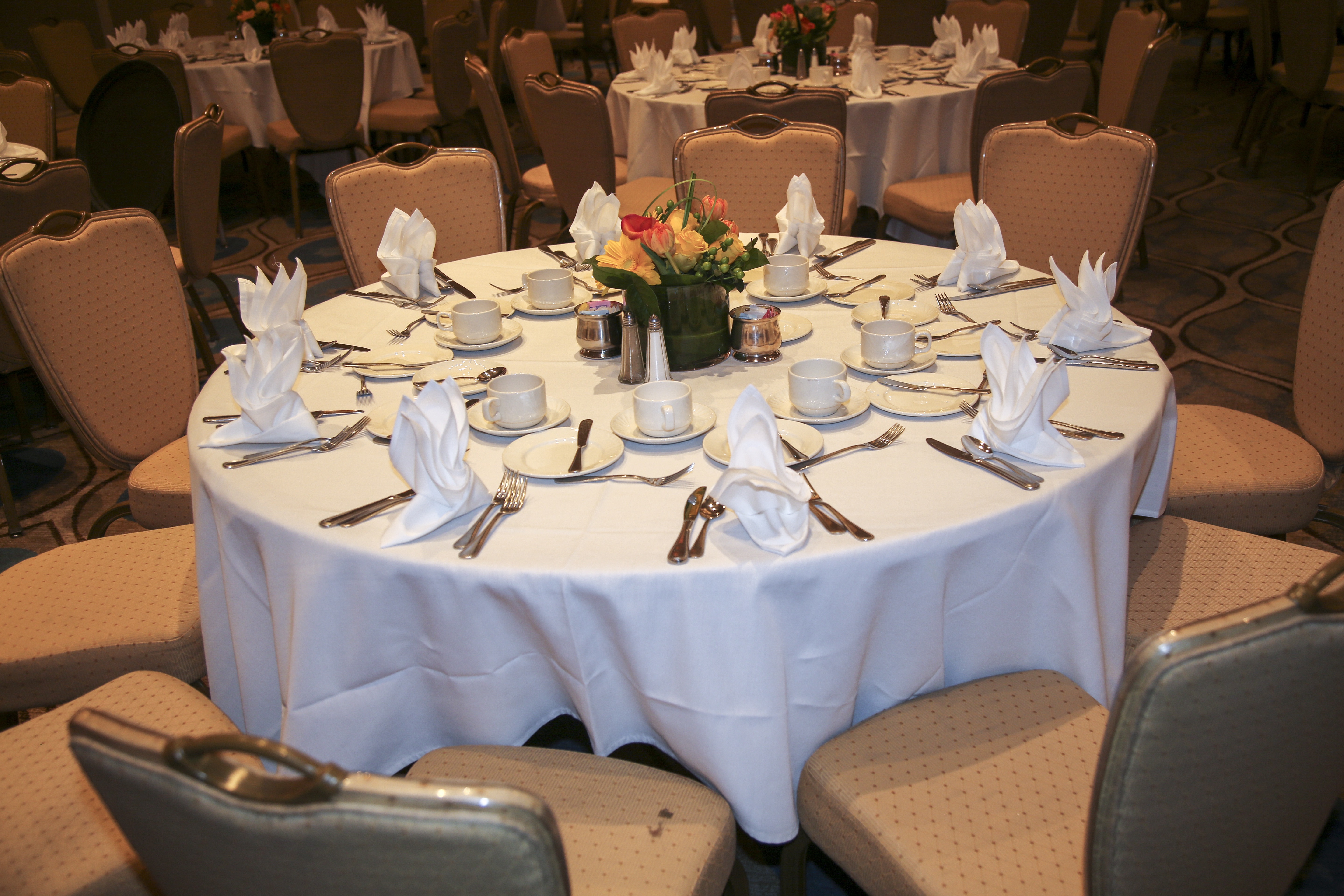 Table set up, close